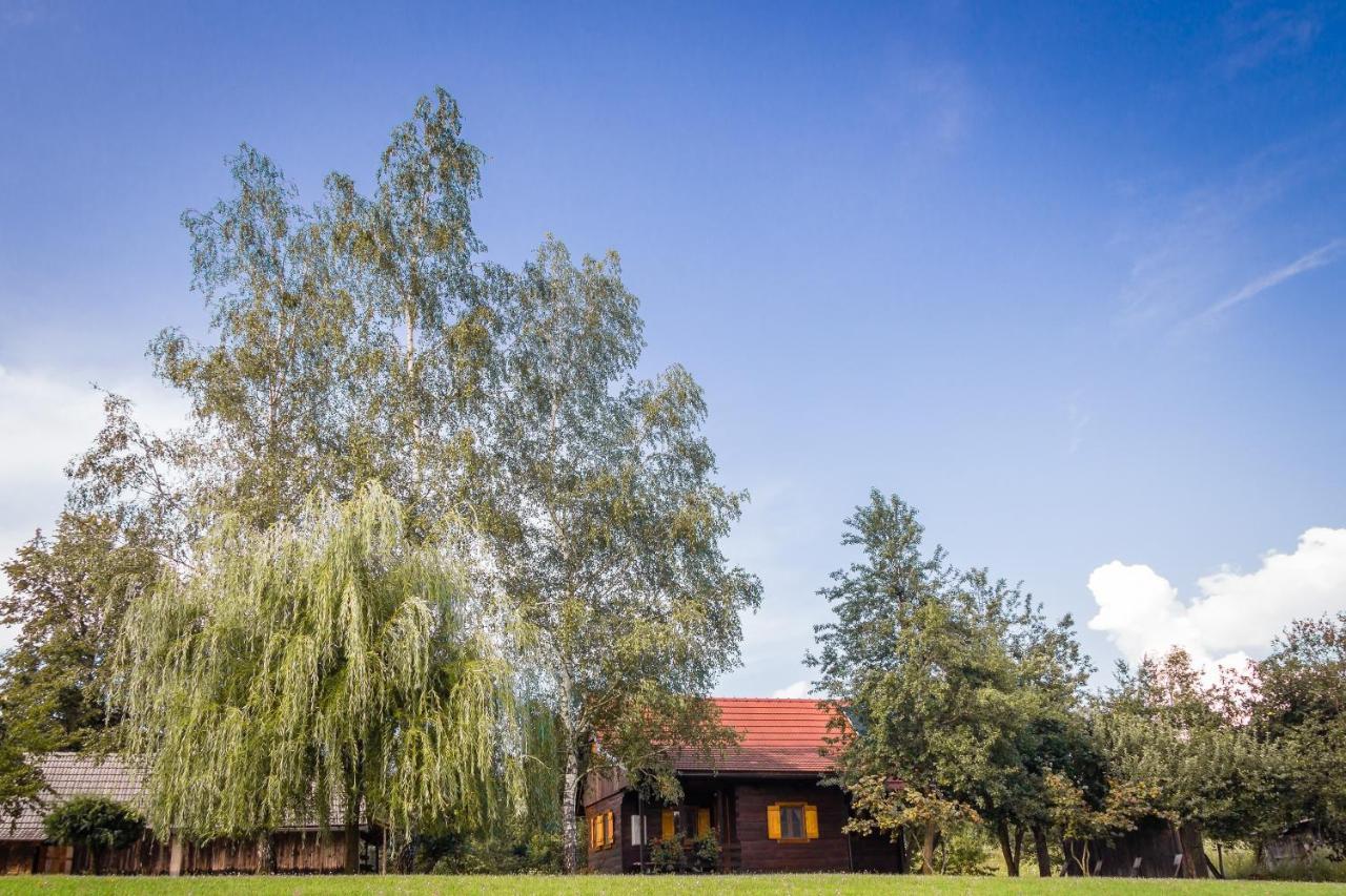 Kuca Za Odmor Cindric Vila Slunj Exterior foto
